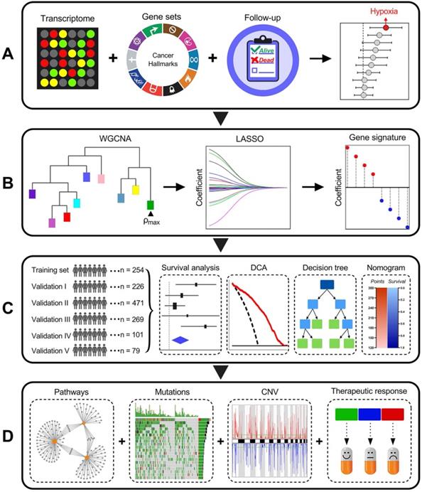 Theranostics Image