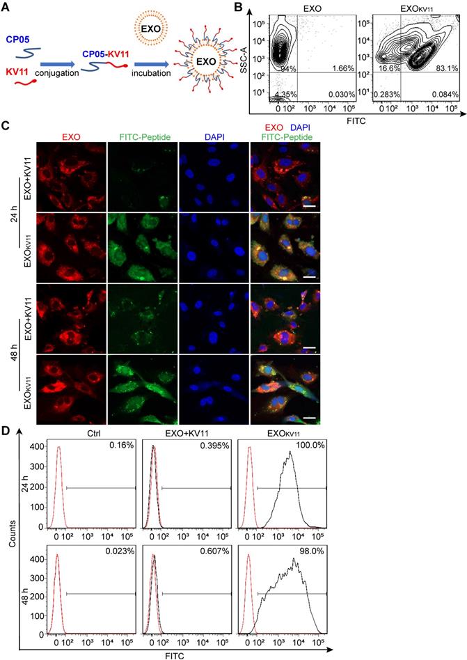 Theranostics Image