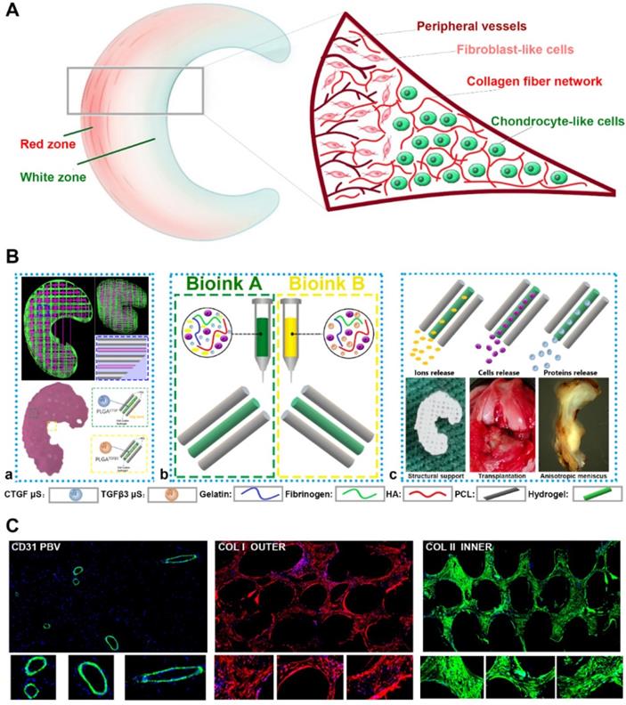 Theranostics Image