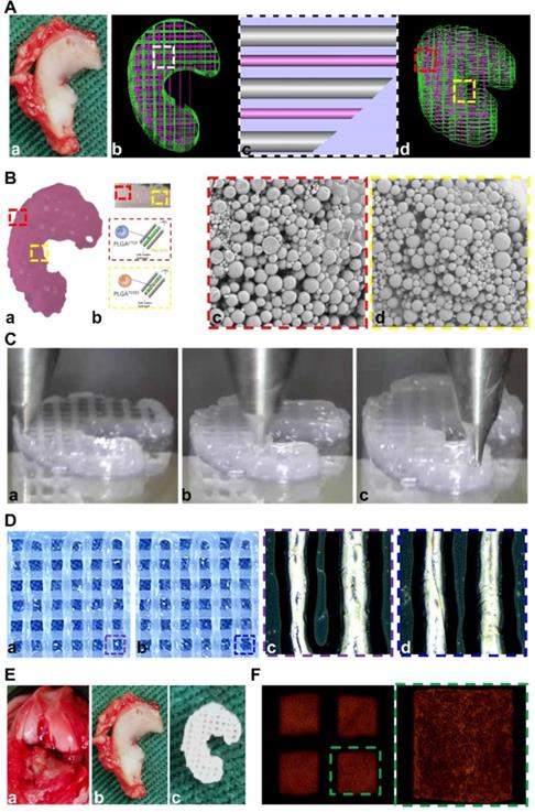 Theranostics Image