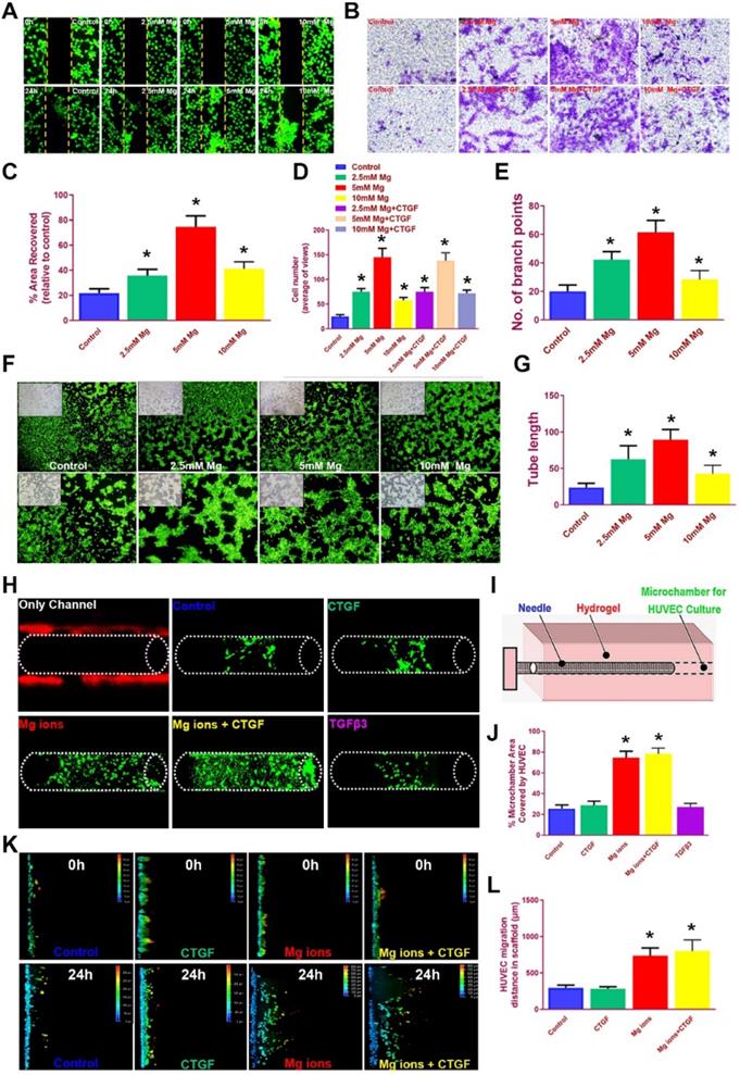 Theranostics Image