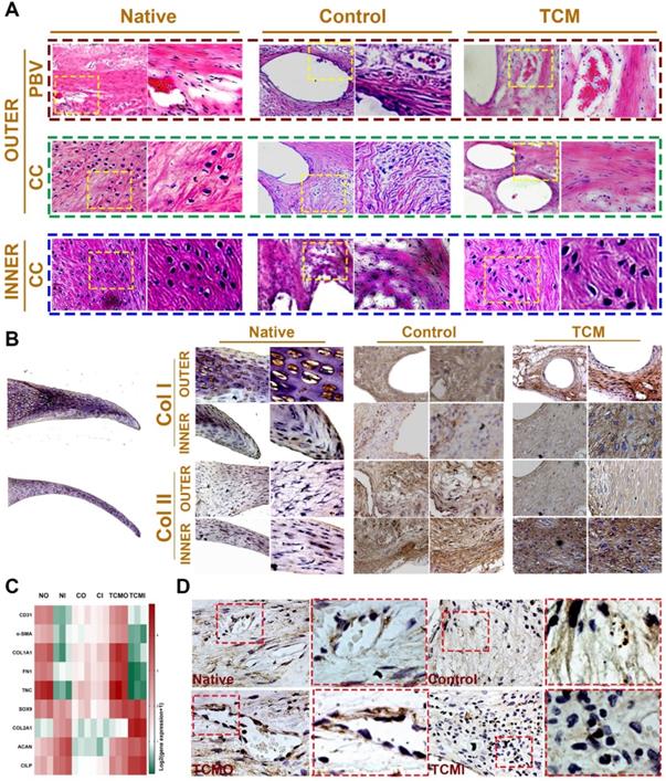 Theranostics Image