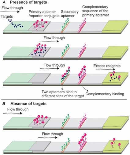 Theranostics Image