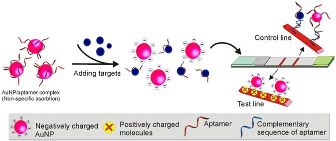 Theranostics Image