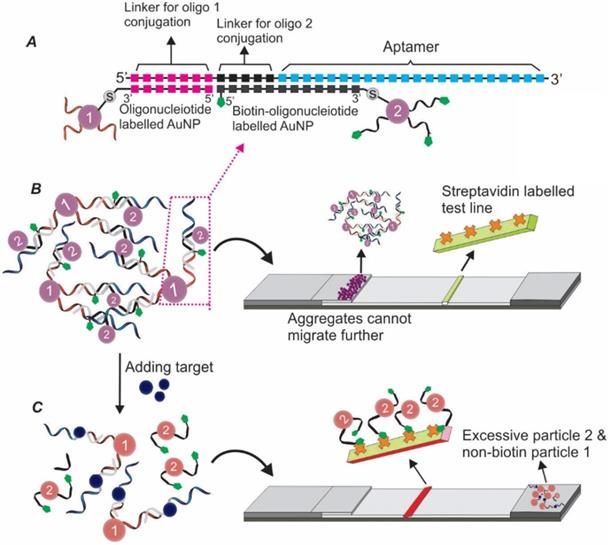 Theranostics Image