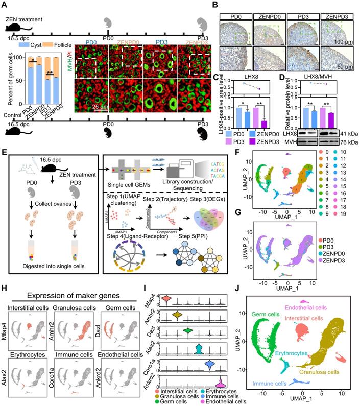 Theranostics Image