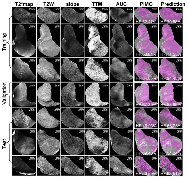 Theranostics Image