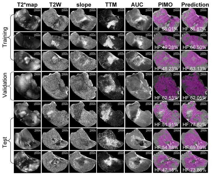 Theranostics Image