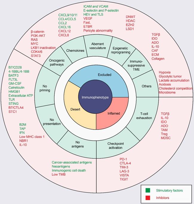 Theranostics Image