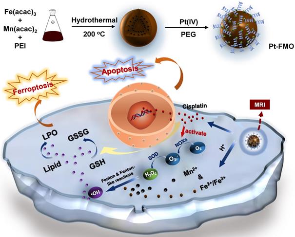 Theranostics Image