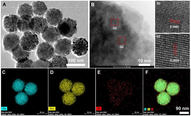 Theranostics Image