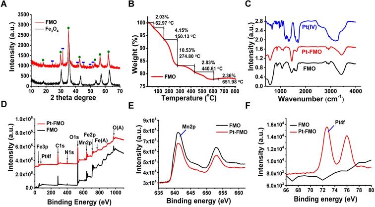 Theranostics Image