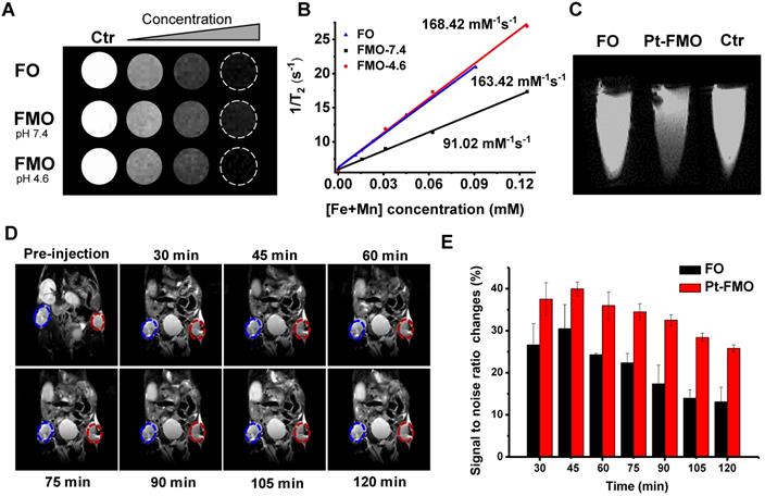 Theranostics Image