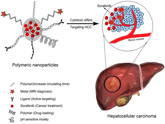 Theranostics Image