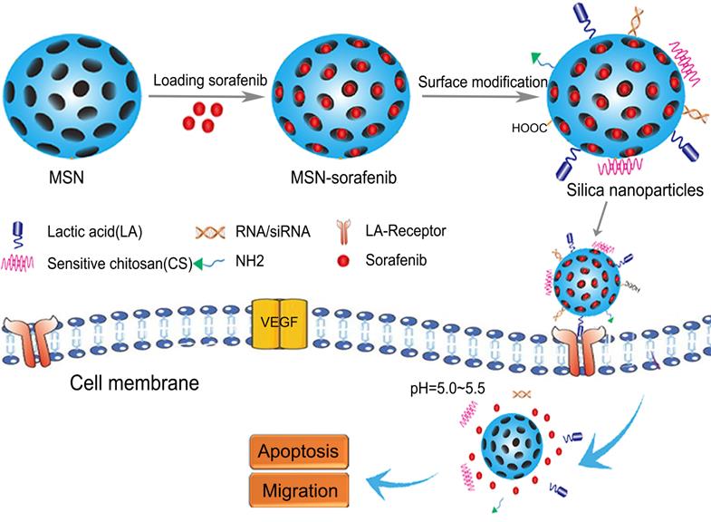 Theranostics Image