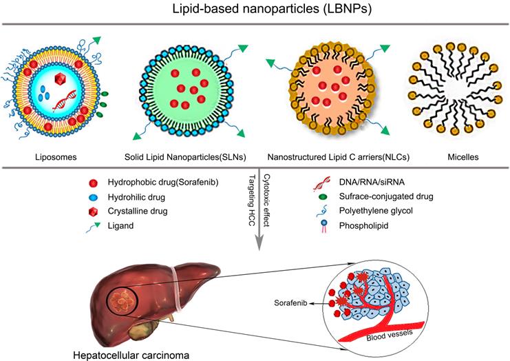 Theranostics Image