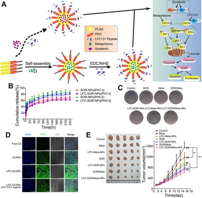 Theranostics Image