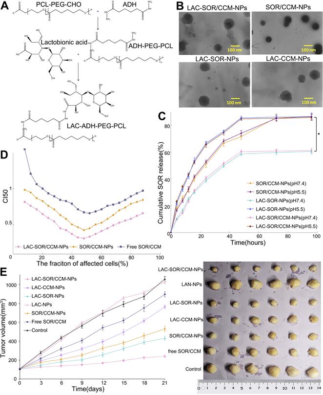 Theranostics Image