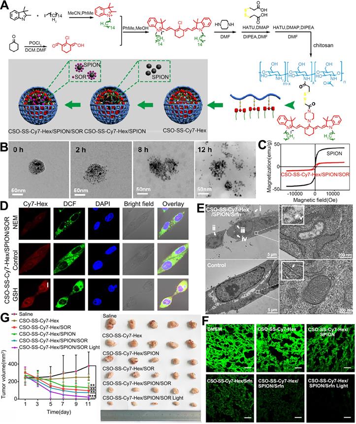 Theranostics Image