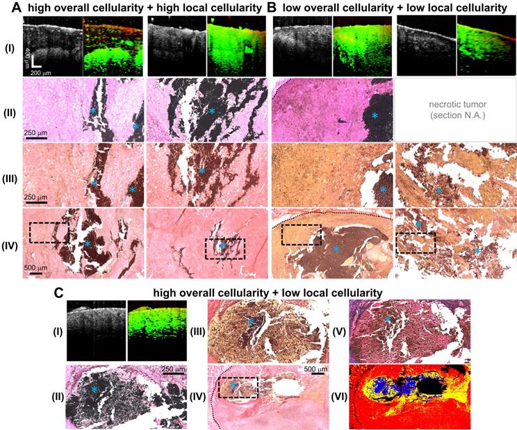 Theranostics Image