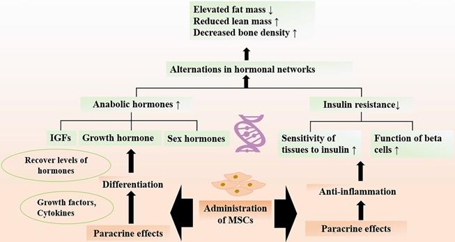 Theranostics Image