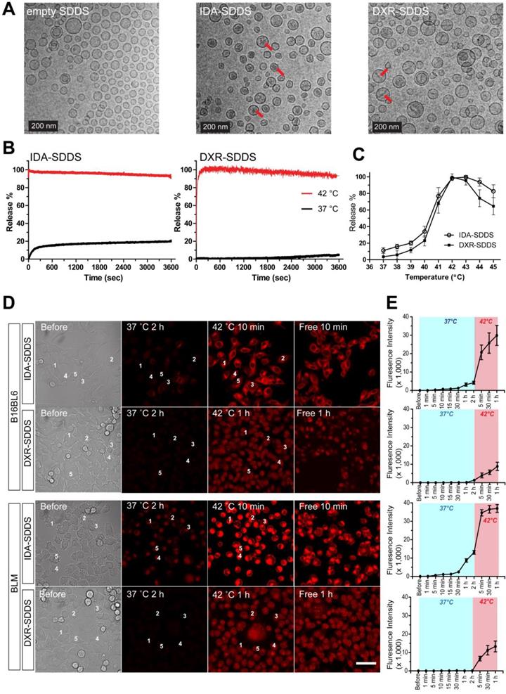 Theranostics Image