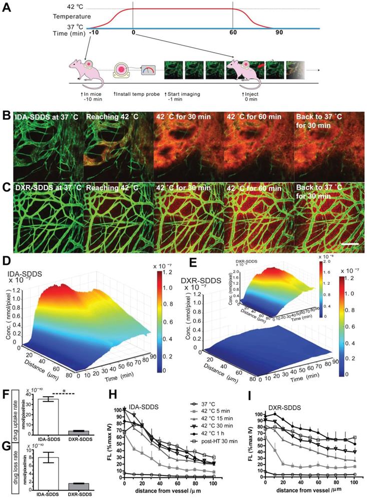 Theranostics Image