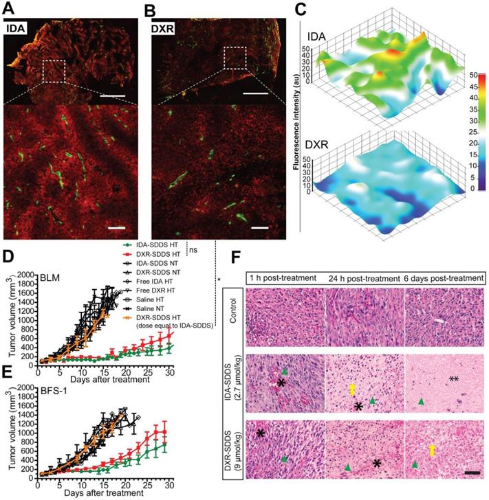 Theranostics Image