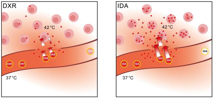 Theranostics Image