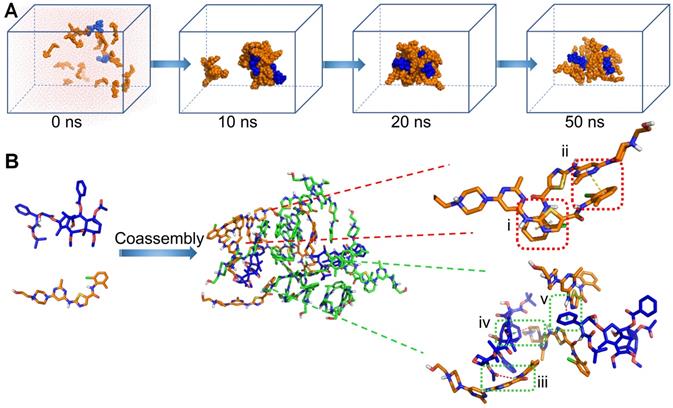 Theranostics Image