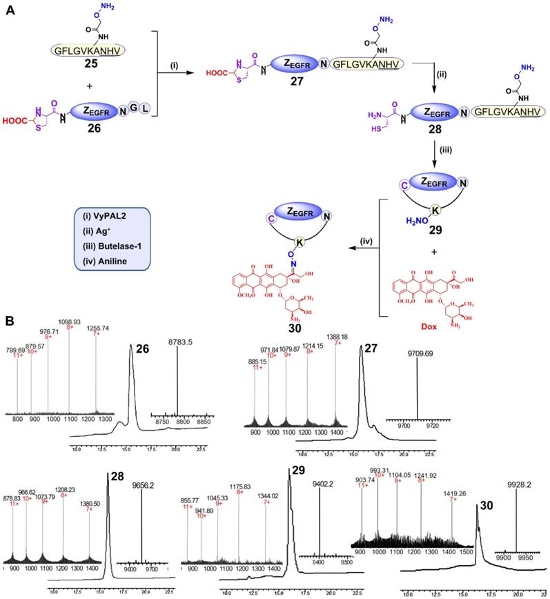 Theranostics Image