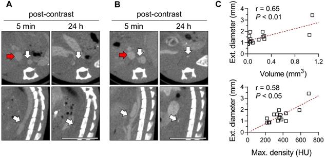 Theranostics Image