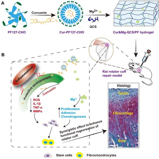 Theranostics Image