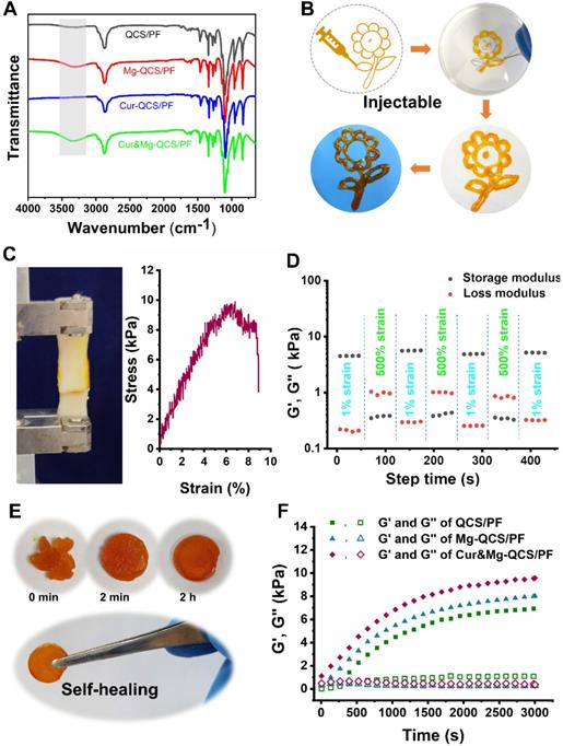 Theranostics Image