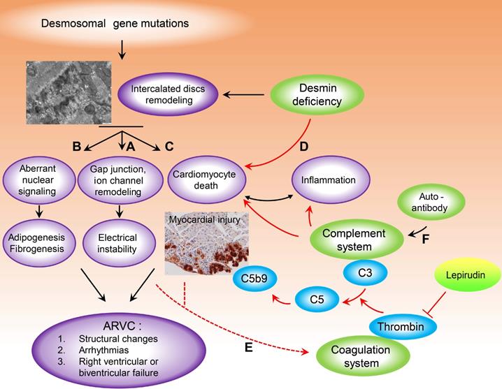 Theranostics Image