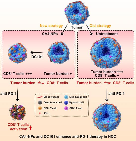 Theranostics Image