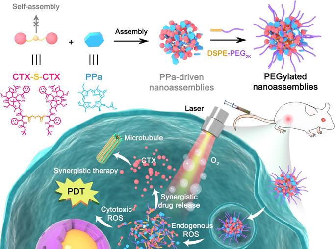 Theranostics Image