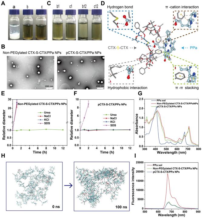 Theranostics Image