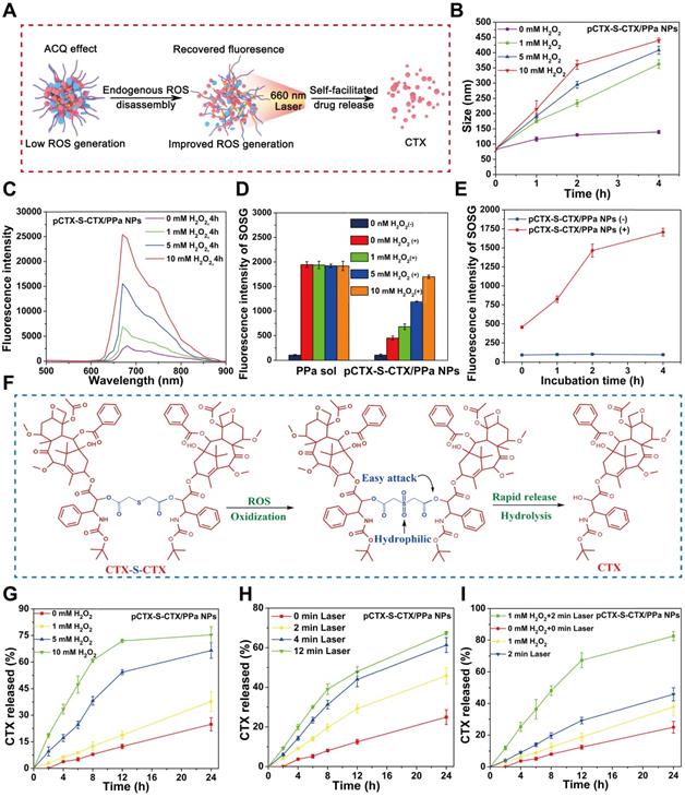 Theranostics Image