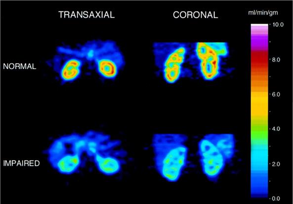 Theranostics Image