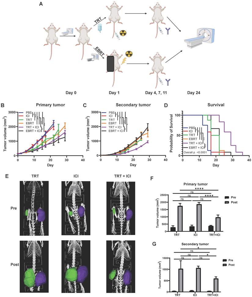 Theranostics Image