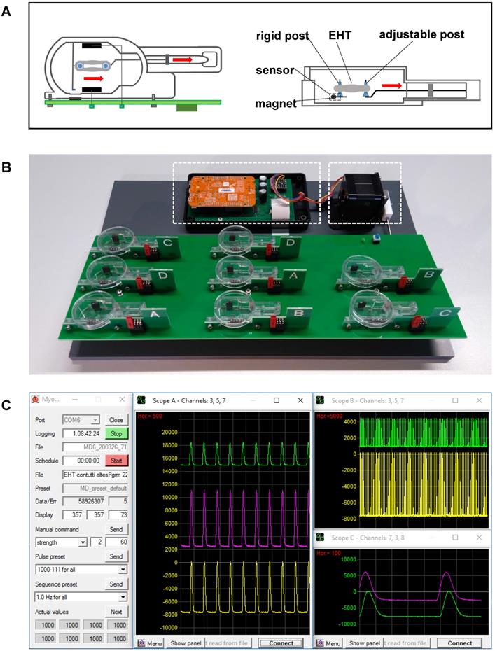 Theranostics Image