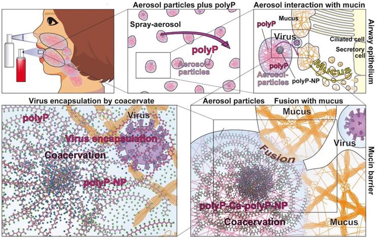 Theranostics Image