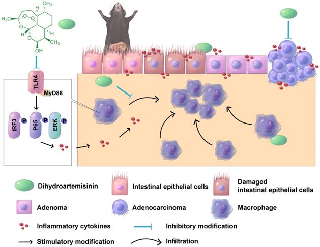 Theranostics Image