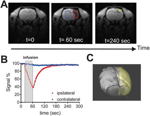 Theranostics Image