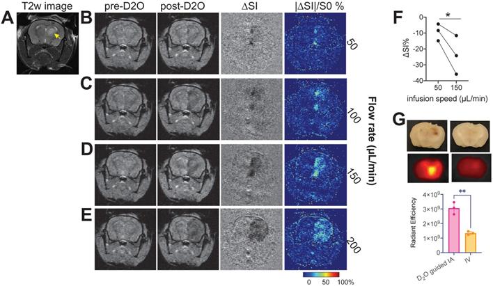 Theranostics Image