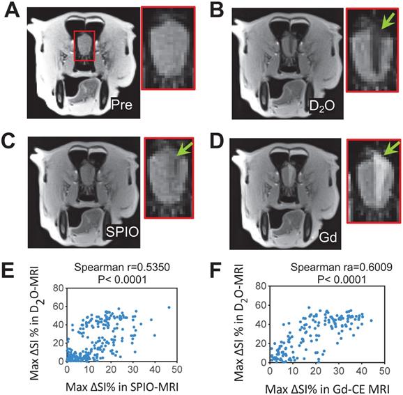 Theranostics Image