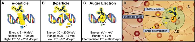 Theranostics Image