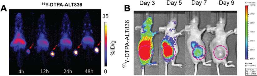 Theranostics Image