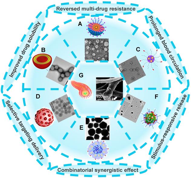 Theranostics Image